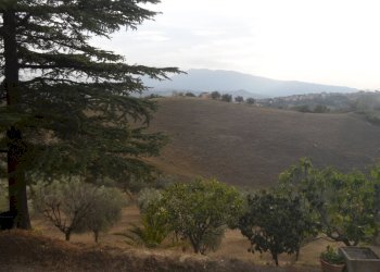 Foto 6 - Terreno agricolo Contrada San Silvestro, Castorano - foto 6