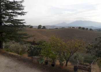 Foto 7 - Terreno agricolo Contrada San Silvestro, Castorano - foto 7