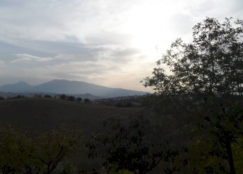 Foto 9 - Terreno agricolo Contrada San Silvestro, Castorano - foto 9