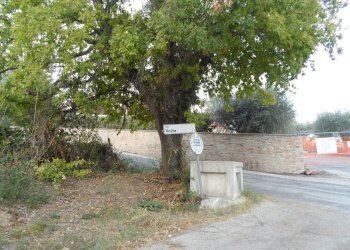 Foto 12 - Terreno agricolo Contrada San Silvestro, Castorano - foto 12