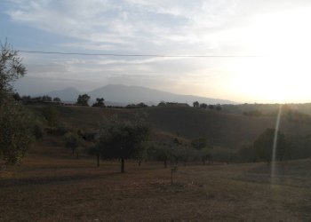 Foto 16 - Terreno agricolo Contrada San Silvestro, Castorano - foto 16