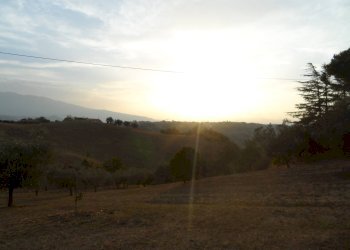 Foto 17 - Terreno agricolo Contrada San Silvestro, Castorano - foto 17