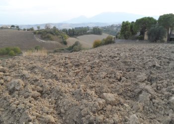 Foto 4 - Terreno edificabile Contrada San Silvestro, Castorano - foto 4