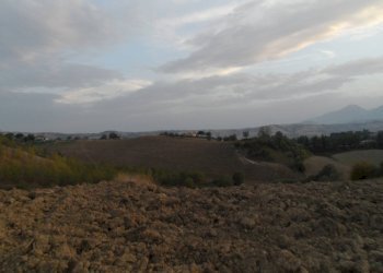 Foto 10 - Terreno edificabile Contrada San Silvestro, Castorano - foto 10