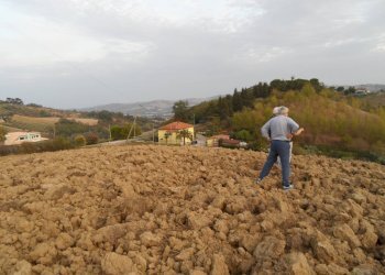 Foto 11 - Terreno edificabile Contrada San Silvestro, Castorano - foto 11