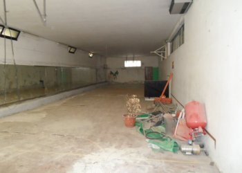 Foto 20 - Magazzino Via Pietro Mascagni
12, Grottammare - foto 20