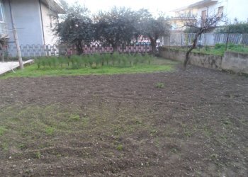 Foto 11 - Trilocale Via Petrarca, Monsampolo del Tronto - foto 11