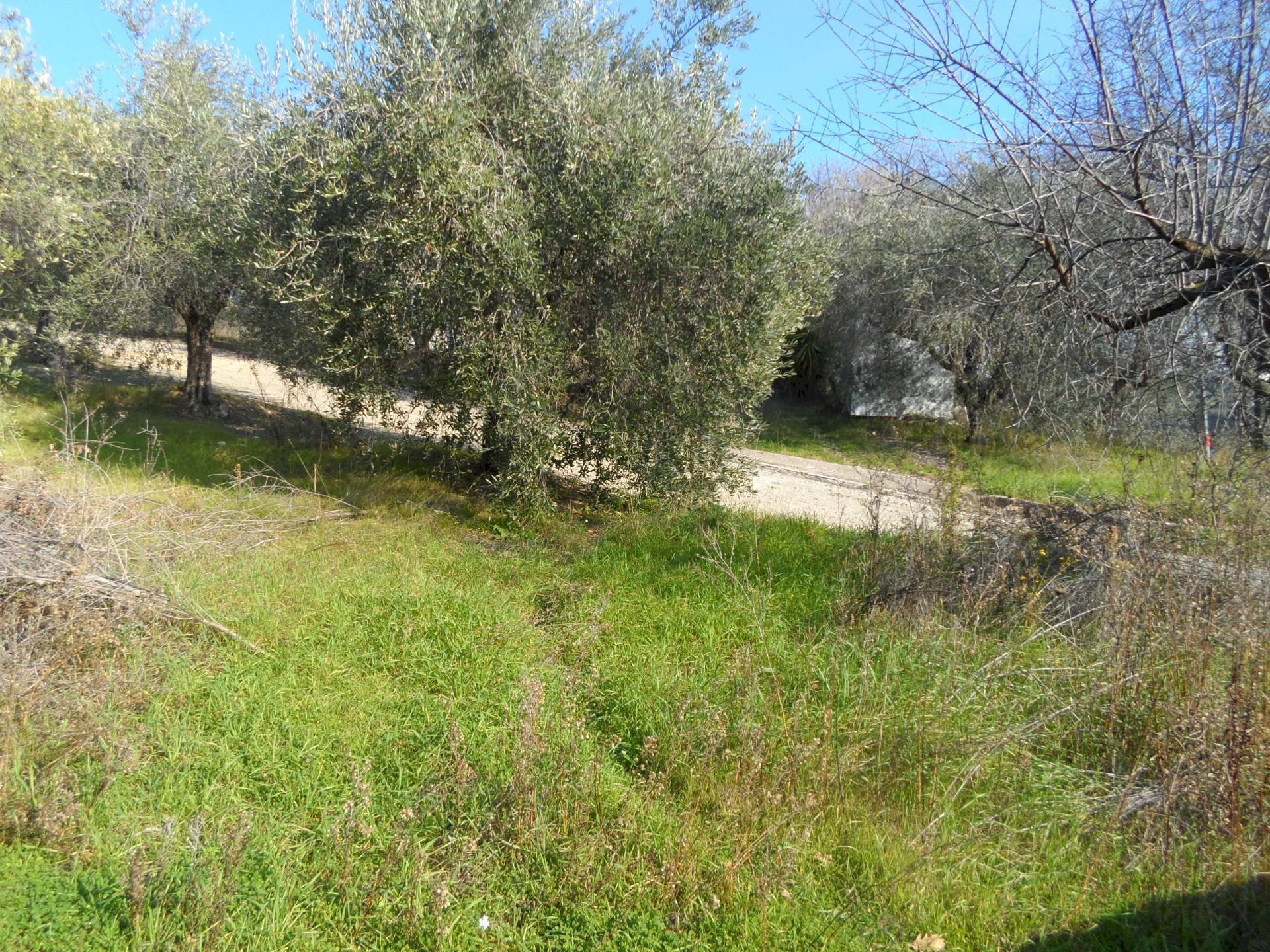 Foto 3 - Building land Contrada San Donato, Monteprandone - photo 3