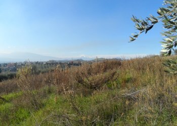 Foto 1 - Terreno edificabile Contrada San Donato, Monteprandone - foto 1