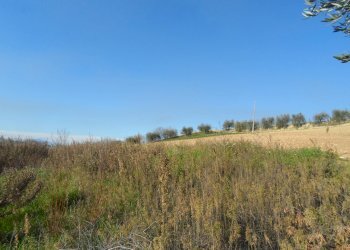 Foto 2 - Terreno edificabile Contrada San Donato, Monteprandone - foto 2