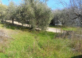 Foto 3 - Terreno edificabile Contrada San Donato, Monteprandone - foto 3