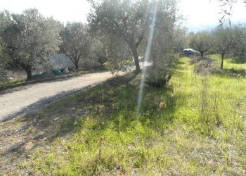 Foto 5 - Terreno edificabile Contrada San Donato, Monteprandone - foto 5