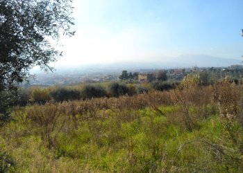 Foto 6 - Terreno edificabile Contrada San Donato, Monteprandone - foto 6