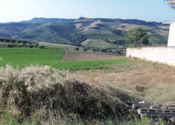 Foto 1 - Terreno edificabile Via Alighieri, Acquaviva Picena - foto 1