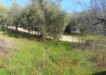 Foto 5 - Casa indipendente San Donato, Monteprandone - foto 5