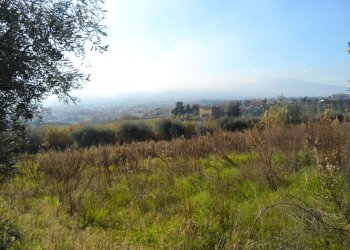 Foto 9 - Casa indipendente San Donato, Monteprandone - foto 9