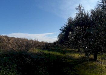 Foto 14 - Casa indipendente San Donato, Monteprandone - foto 14