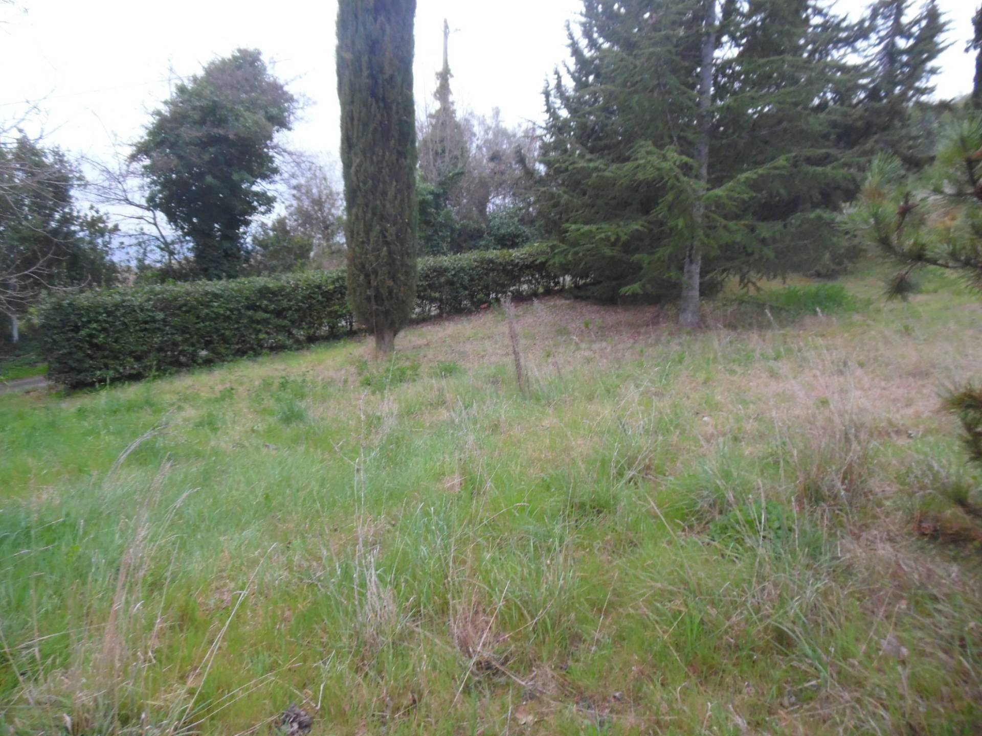 Foto 3 - Terreno edificabile Via Ferretti, Spinetoli - foto 3