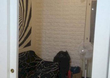 Foto 8 - Monolocale Via Giovanni XXIII, Monteprandone - foto 8