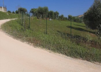 Foto 1 - Terreno agricolo Contrada Visciola, Ripatransone - foto 1