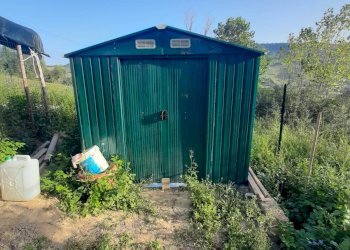 Foto 5 - Terreno agricolo Contrada Visciola, Ripatransone - foto 5