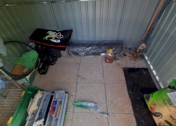 Foto 6 - Terreno agricolo Contrada Visciola, Ripatransone - foto 6