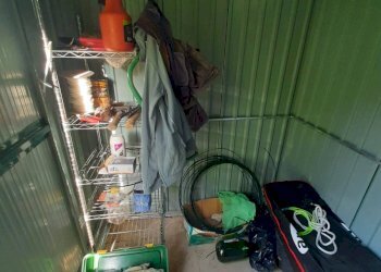 Foto 7 - Terreno agricolo Contrada Visciola, Ripatransone - foto 7