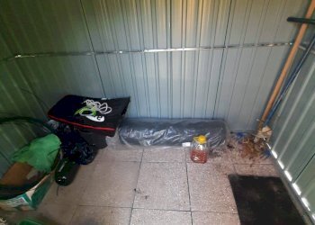 Foto 8 - Terreno agricolo Contrada Visciola, Ripatransone - foto 8