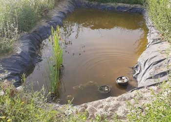 Foto 23 - Terreno agricolo Contrada Visciola, Ripatransone - foto 23