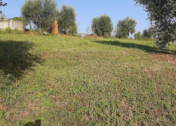 Foto 30 - Terreno agricolo Contrada Visciola, Ripatransone - foto 30