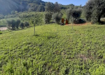 Foto 36 - Terreno agricolo Contrada Visciola, Ripatransone - foto 36