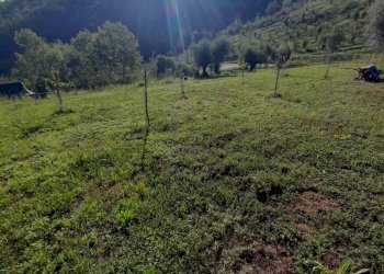 Foto 37 - Terreno agricolo Contrada Visciola, Ripatransone - foto 37