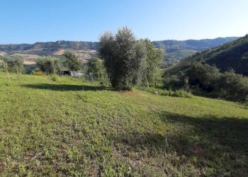 Foto 40 - Terreno agricolo Contrada Visciola, Ripatransone - foto 40