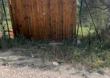 Foto 43 - Terreno agricolo Contrada Visciola, Ripatransone - foto 43