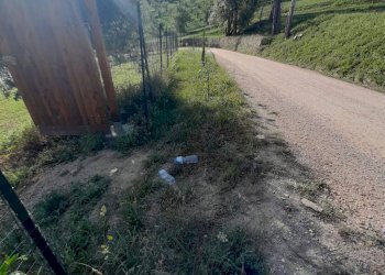 Foto 44 - Terreno agricolo Contrada Visciola, Ripatransone - foto 44