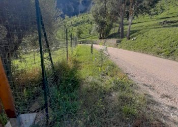 Foto 45 - Terreno agricolo Contrada Visciola, Ripatransone - foto 45