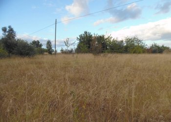 Foto 4 - Terreno edificabile Collevirtù, Civitella del Tronto - foto 4