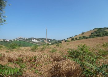 Foto 5 - Terreno edificabile Contrada San Donato, Monteprandone - foto 5