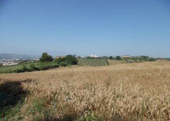 Foto 6 - Terreno edificabile Contrada San Donato, Monteprandone - foto 6