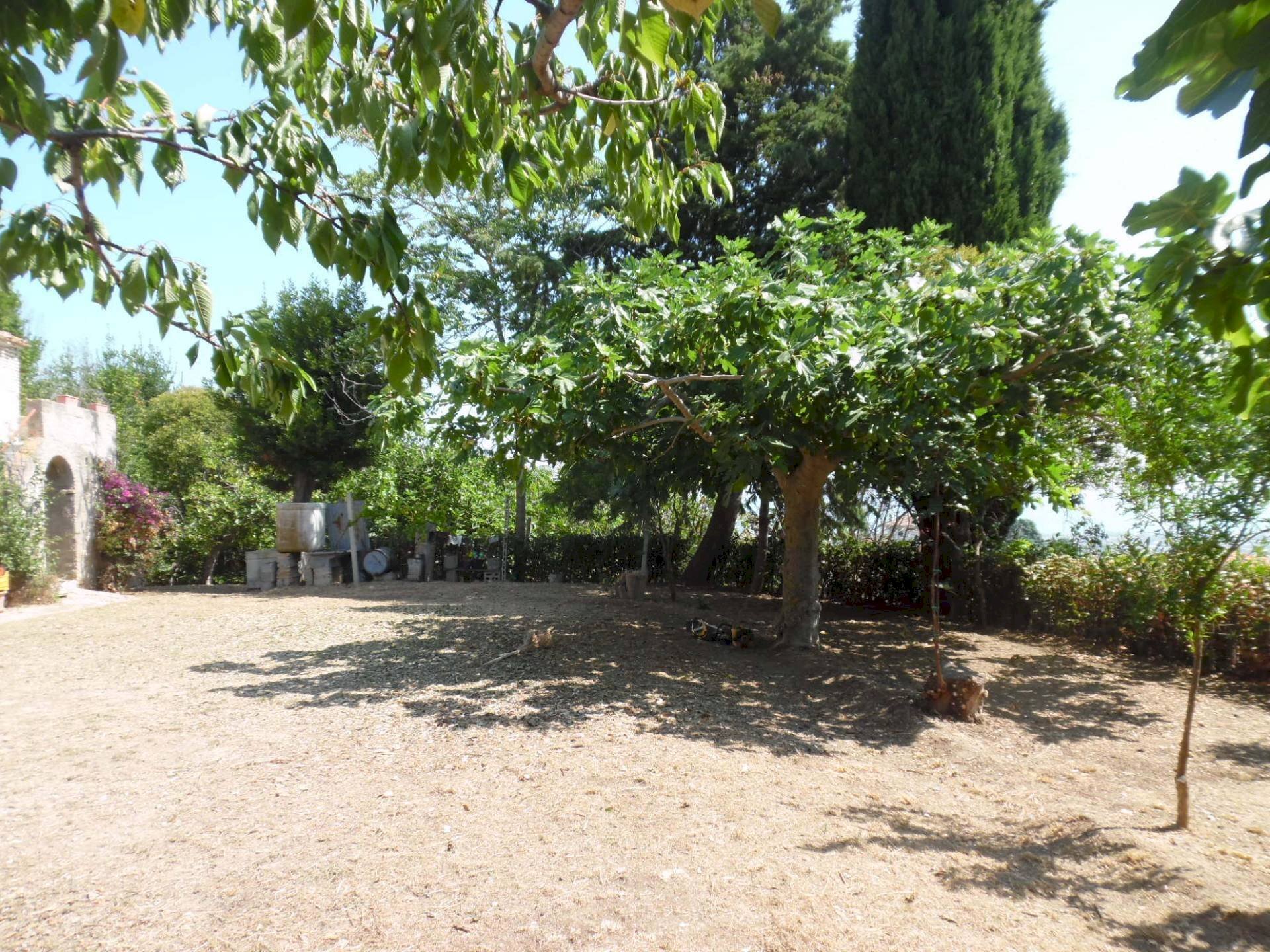 Foto 2 - Rustic Contrada giardino
 
24, Colonnella - photo 2