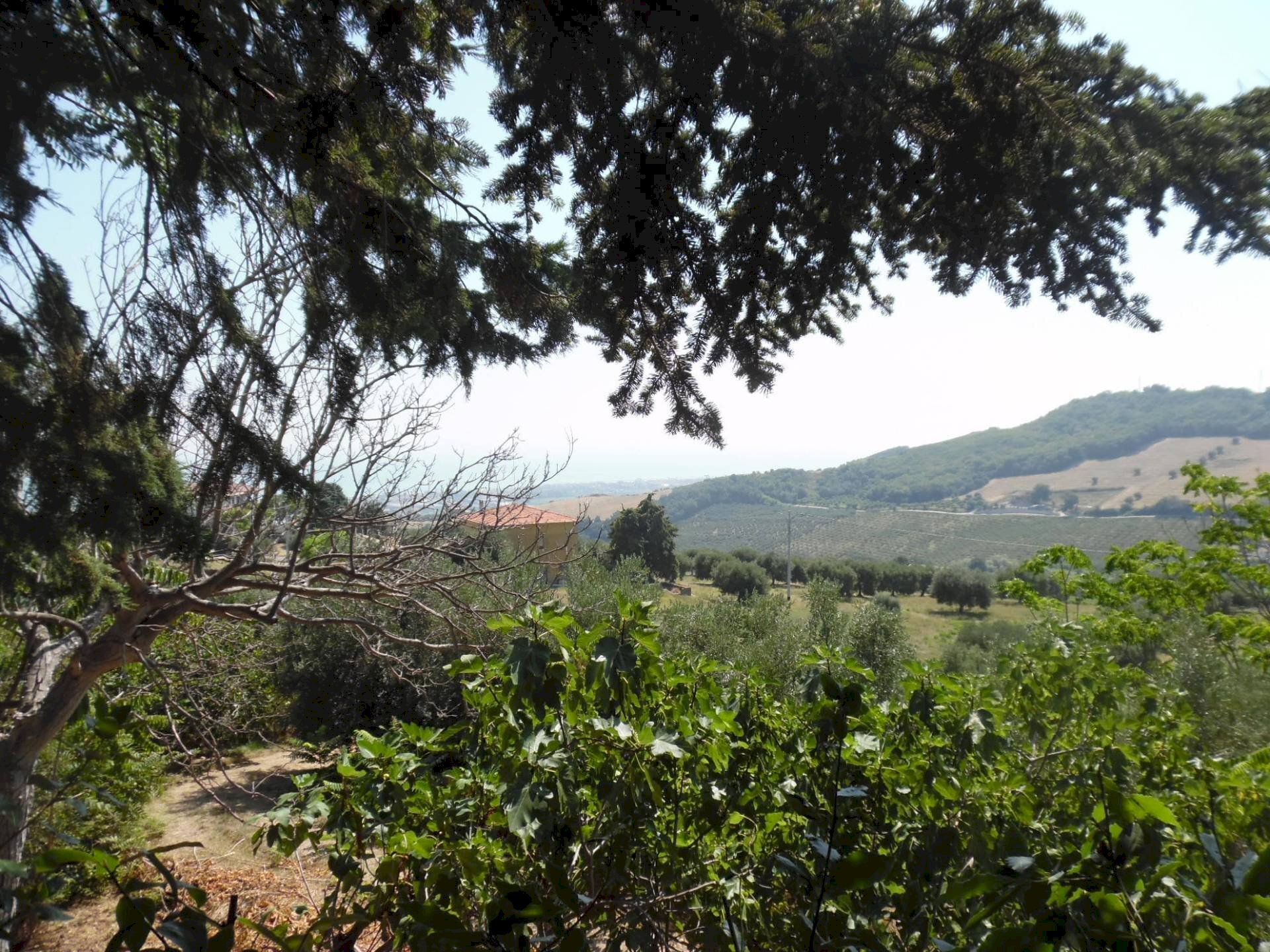 Foto 3 - Rustic Contrada giardino
 
24, Colonnella - photo 3