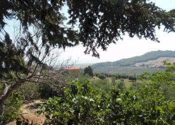 Foto 3 - Rustico Contrada giardino
 
24, Colonnella - foto 3