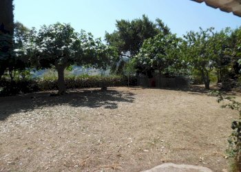 Foto 9 - Rustico Contrada giardino
 
24, Colonnella - foto 9