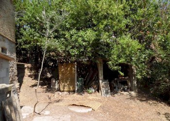 Foto 19 - Rustico Contrada giardino
 
24, Colonnella - foto 19