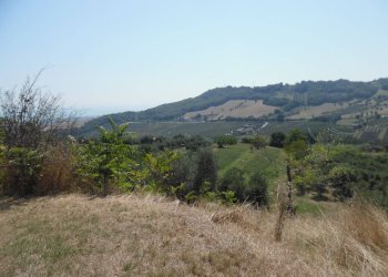 Foto 20 - Rustico Contrada giardino
 
24, Colonnella - foto 20