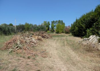 Foto 21 - Rustico Contrada giardino
 
24, Colonnella - foto 21