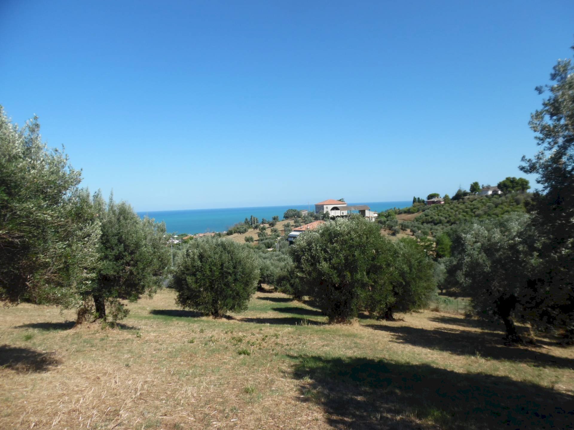 Foto 2 - Terreno edificabile Via Tassenara
31, Tortoreto - foto 2