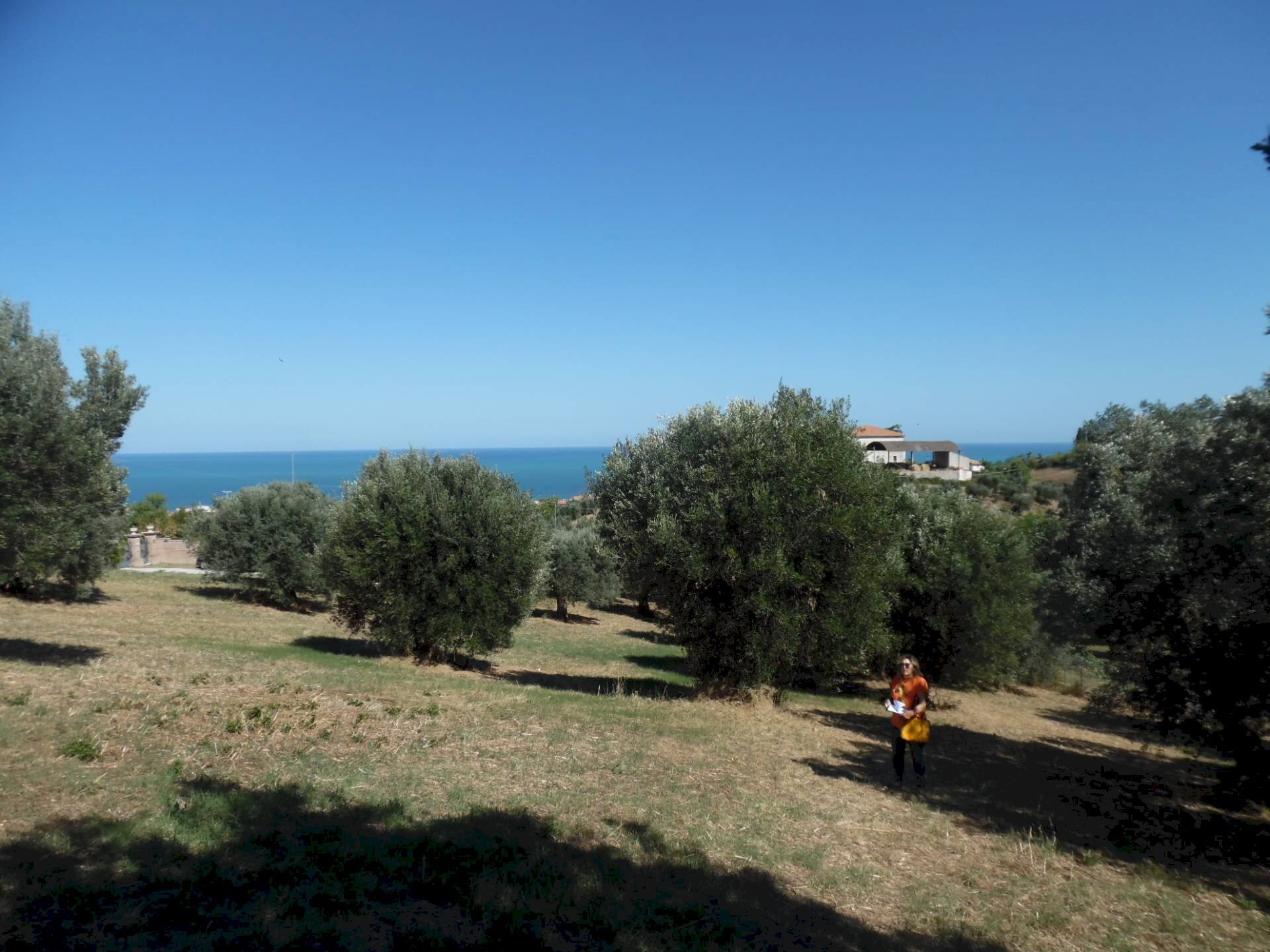 Foto 3 - Terreno edificabile Via Tassenara
31, Tortoreto - foto 3