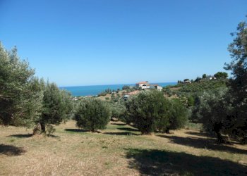 Foto 2 - Terreno edificabile Via Tassenara
31, Tortoreto - foto 2