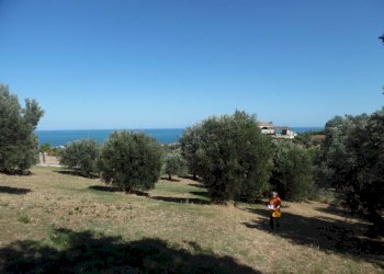 Foto 3 - Terreno edificabile Via Tassenara
31, Tortoreto - foto 3